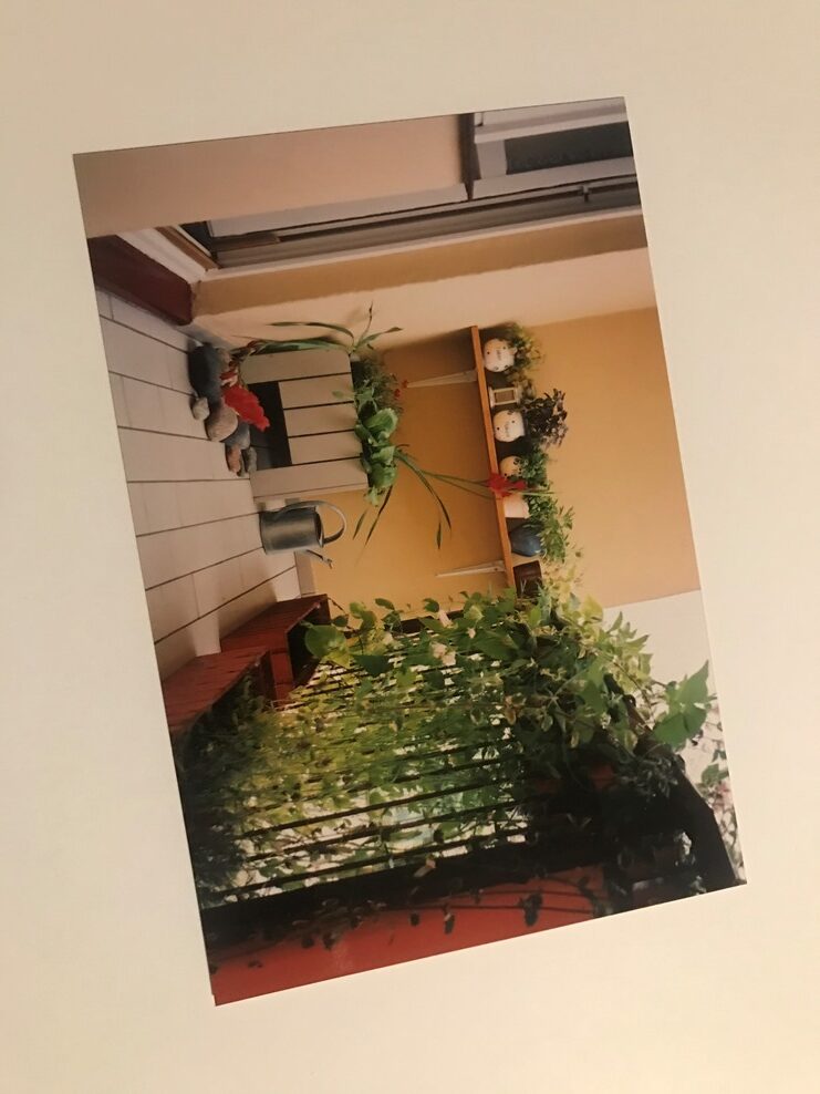Balkon z ziołami